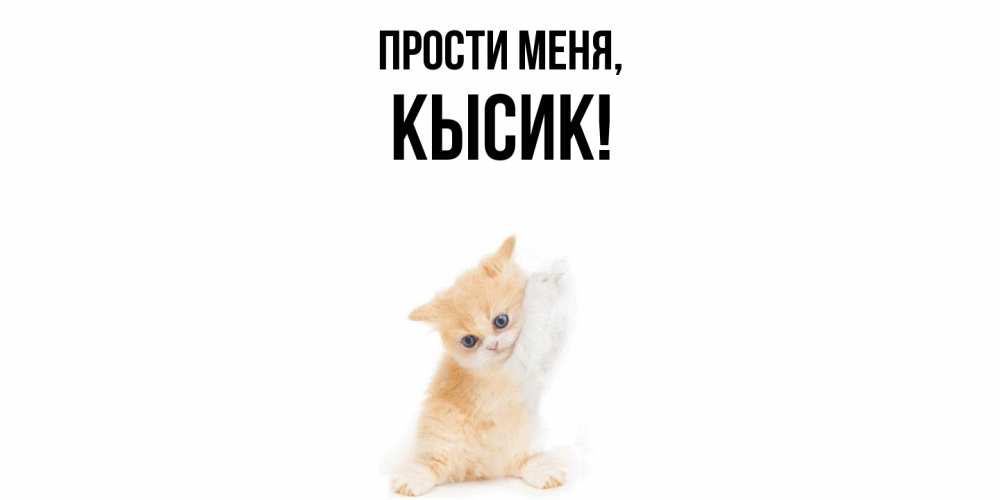 Картинка Прости меня, кысик