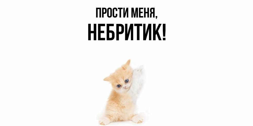 Открытка  для любимых и родных. небритик, Прости меня  