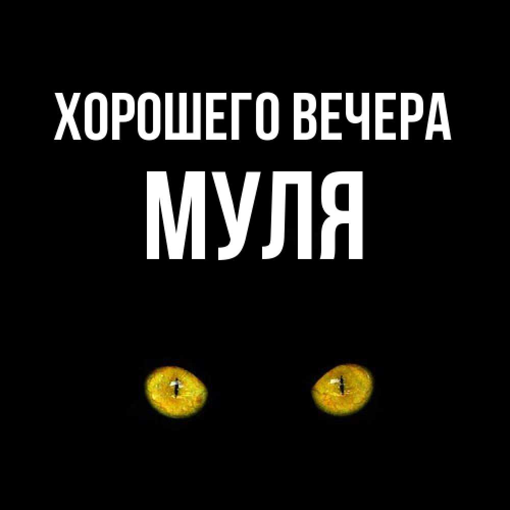 Картинка Хорошего вечера, муля