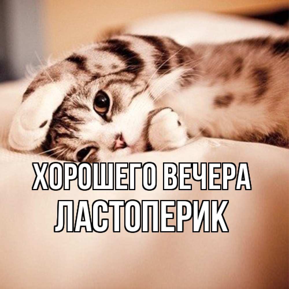 Открытка  для любимых и родных. ластоперик, Хорошего вечера  