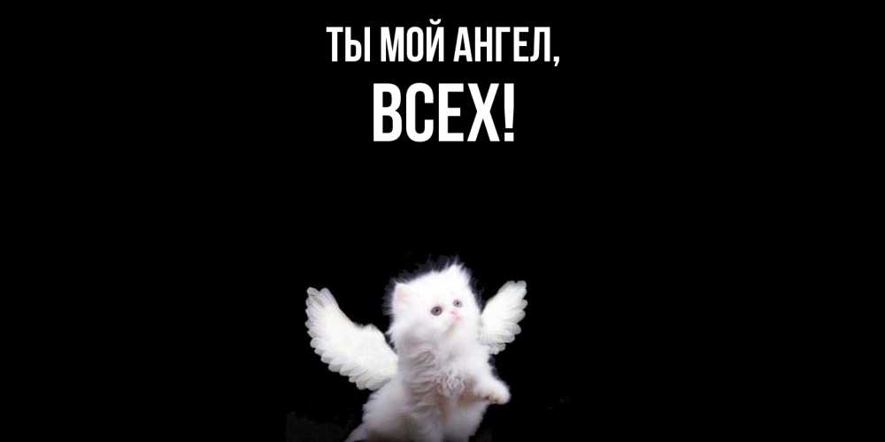 Открытка  для любимых и родных. всех, Ты мой ангел  