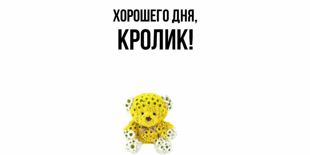 Открытка  для любимых и родных. кролик, Хорошего дня  