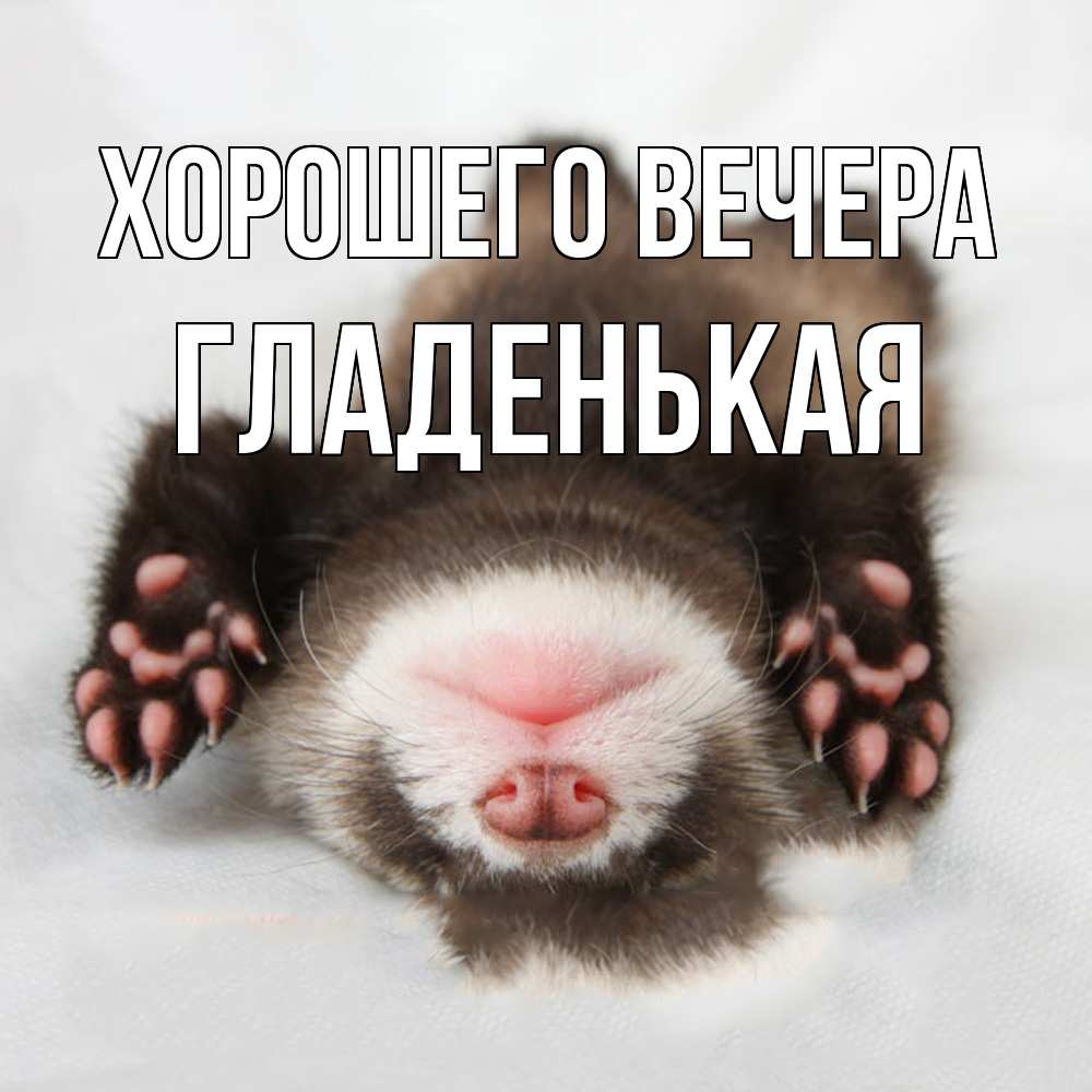 Открытка  для любимых и родных. гладенькая, Хорошего вечера  