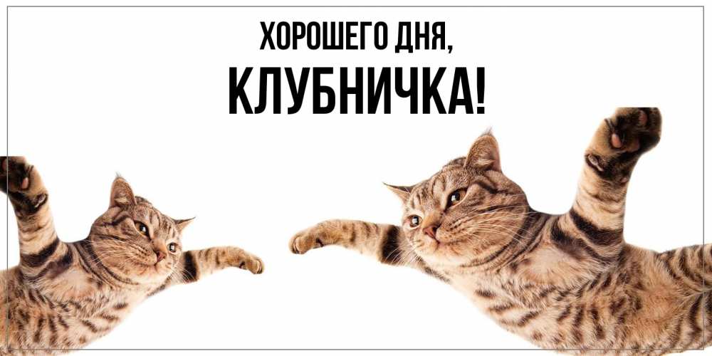 Открытка  для любимых и родных. клубничка, Хорошего дня  