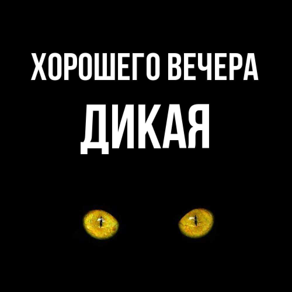 Картинка Хорошего вечера, дикая