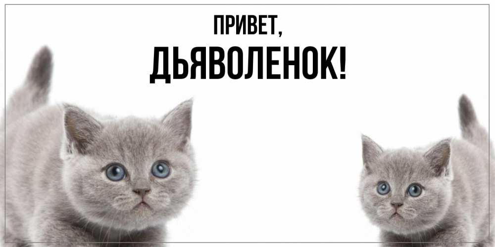 Открытка  для любимых и родных. дьяволенок, Привет  