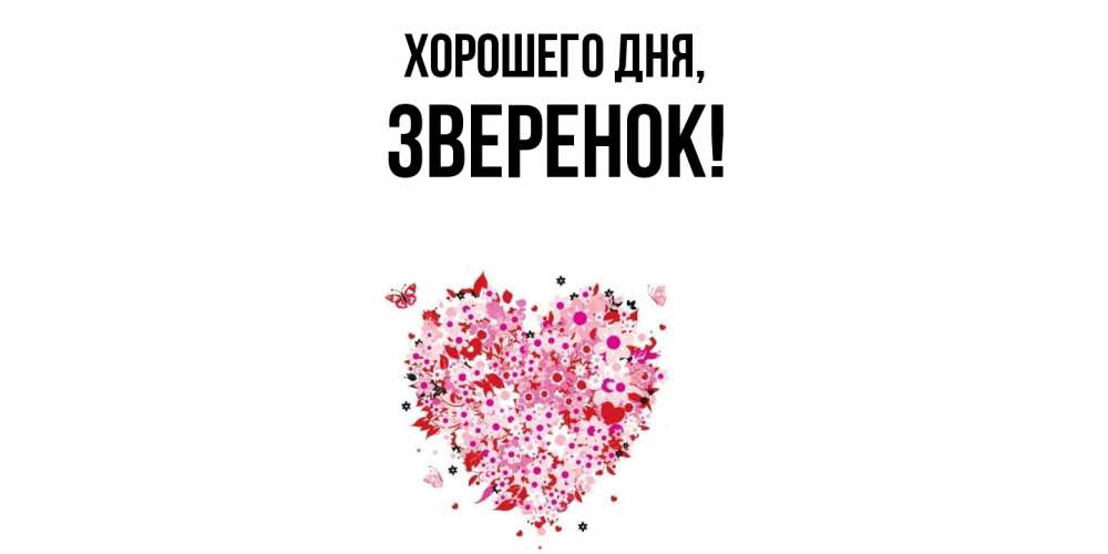 Открытка  для любимых и родных. зверенок, Хорошего дня  