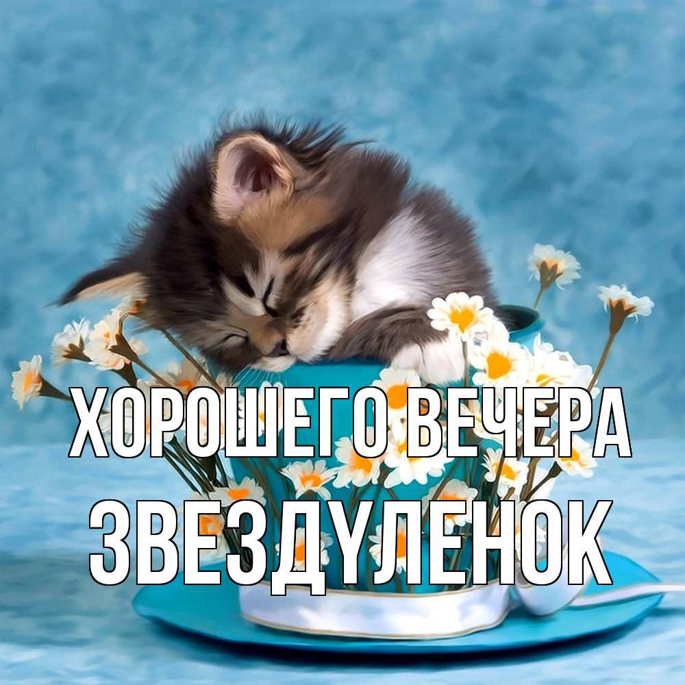 Картинка Хорошего вечера, звездyленок