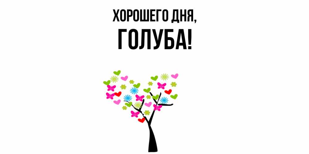 Открытка  для любимых и родных. голуба, Хорошего дня  