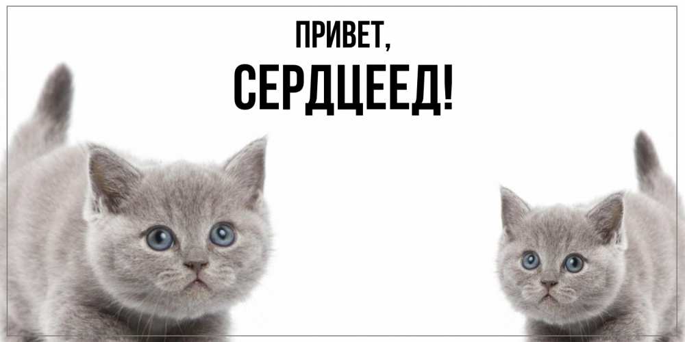 Открытка  для любимых и родных. Сердцеед, Привет  