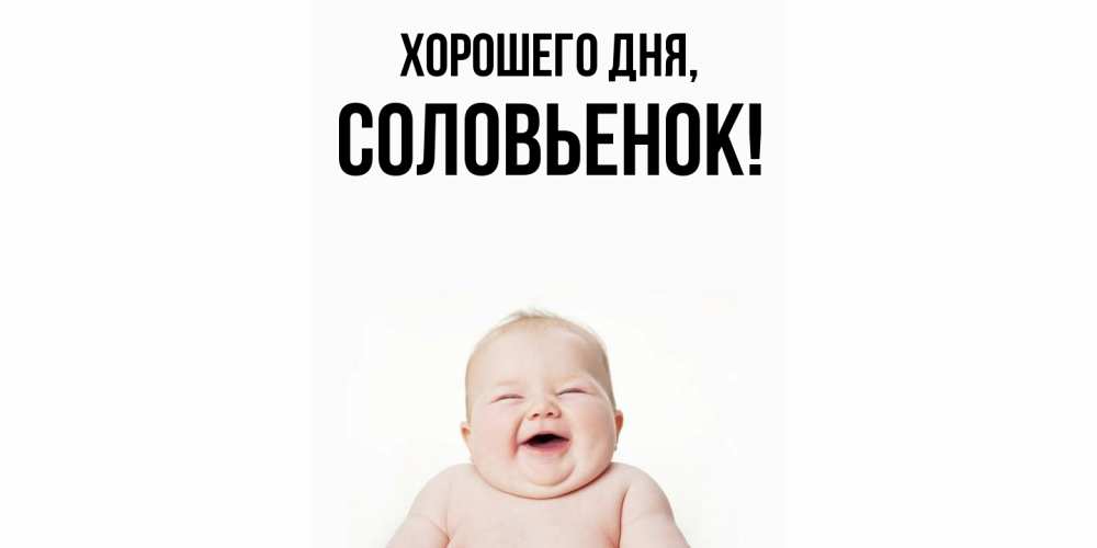 Открытка  для любимых и родных. соловьенок, Хорошего дня  