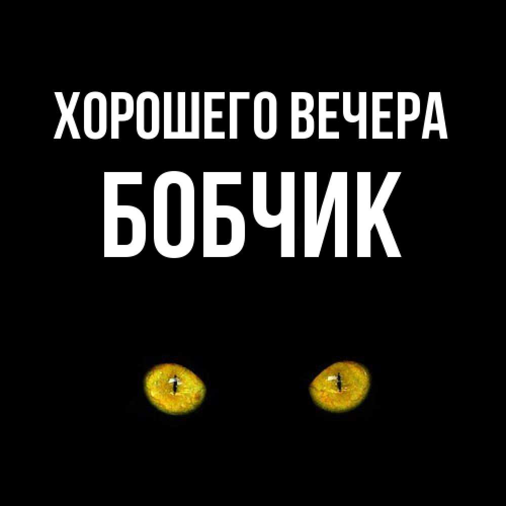 Открытка  для любимых и родных. бобчик, Хорошего вечера  