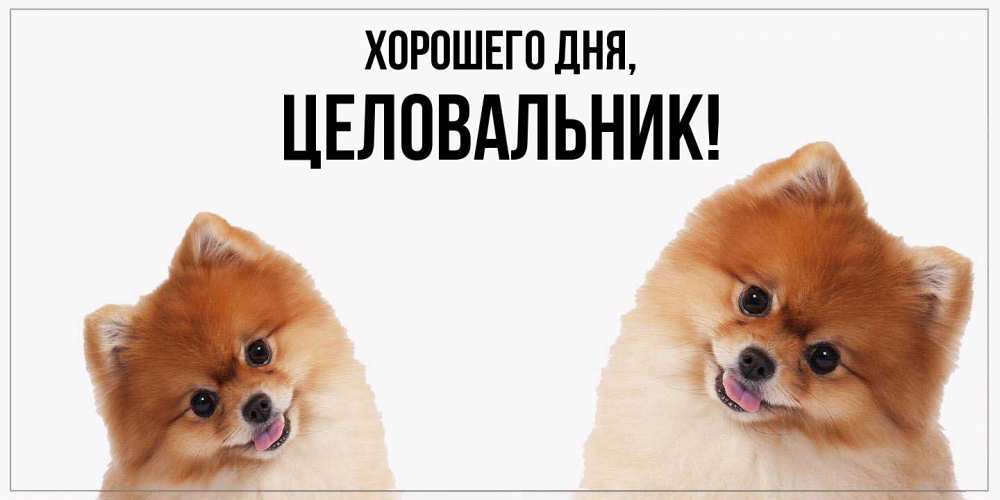 Картинка Хорошего дня, целовальник