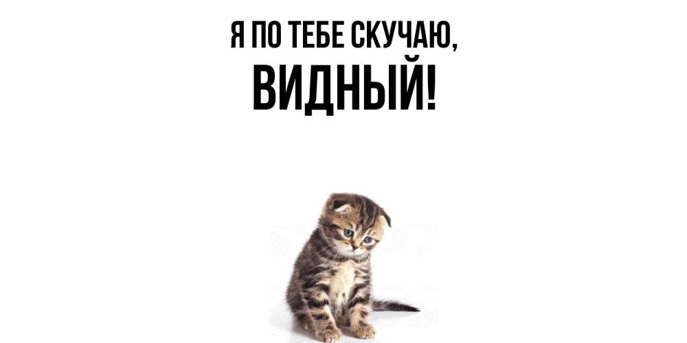 Открытка  для любимых и родных. видный, Я по тебе скучаю  