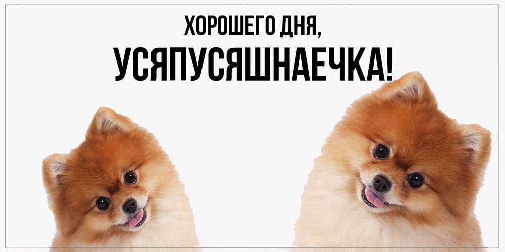 Открытка с именем, усяпусяшнаечка, Хорошего дня