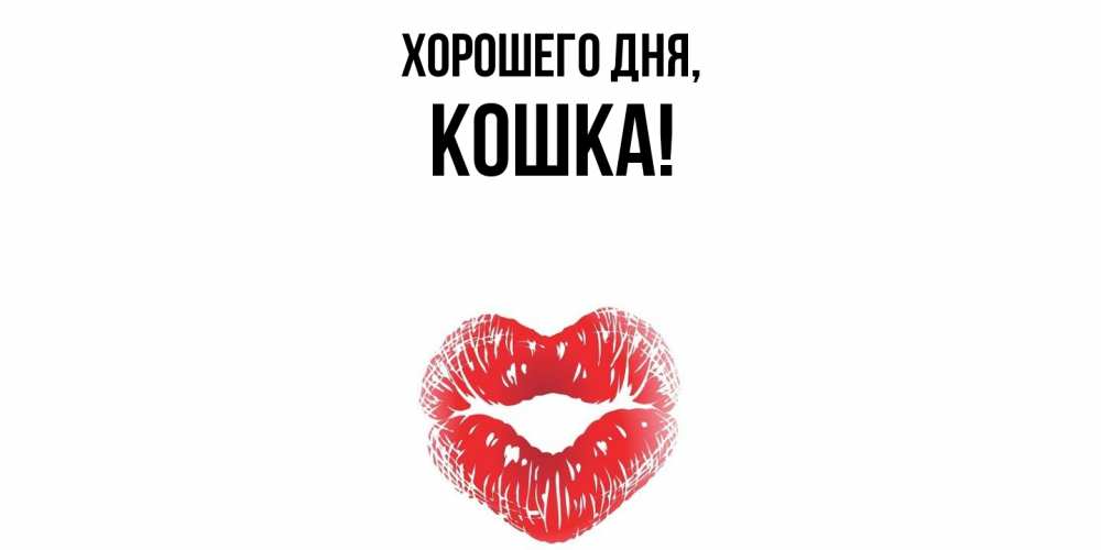 Открытка  для любимых и родных. кошка, Хорошего дня  