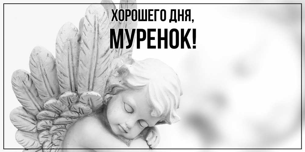 Открытка  для любимых и родных. муренок, Хорошего дня  