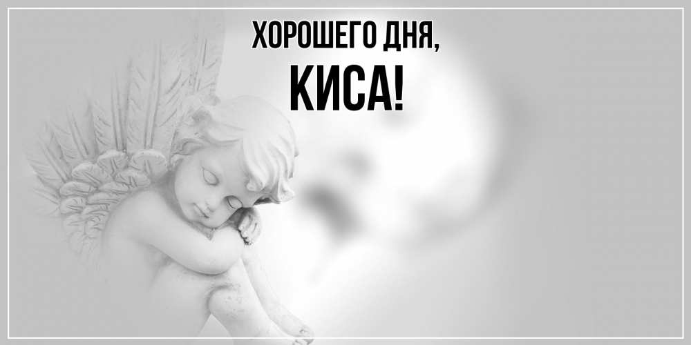 Открытка  для любимых и родных. киса, Хорошего дня  