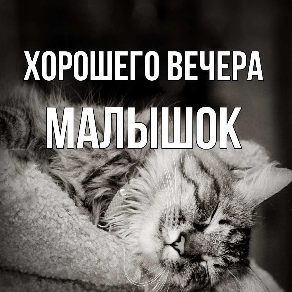 Открытка  для любимых и родных. малышок, Хорошего вечера  