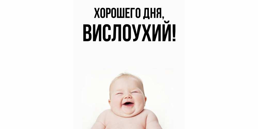 Открытка  для любимых и родных. вислоухий, Хорошего дня  