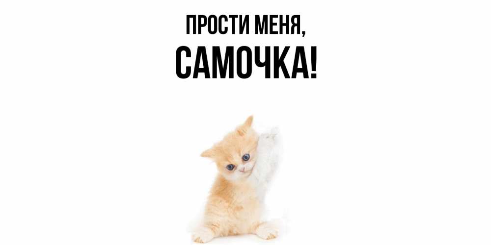 Картинка Прости меня, самочка