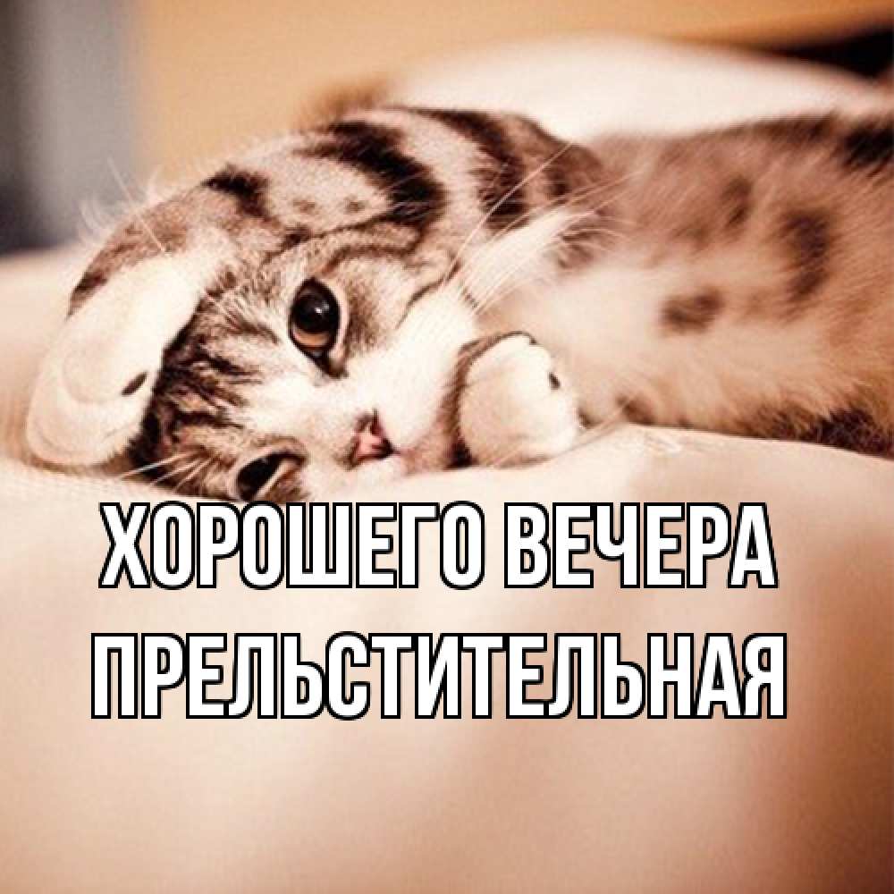 Открытка  для любимых и родных. пpельстительная, Хорошего вечера  