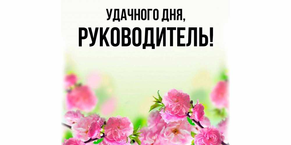 Открытка  для любимых и родных. Руководитель, Удачного дня  