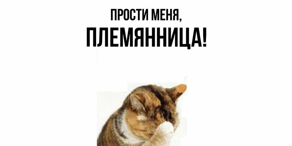 Картинка Прости меня, Племянница