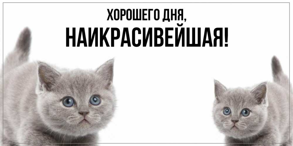 Открытка  для любимых и родных. наикрасивейшая, Хорошего дня  