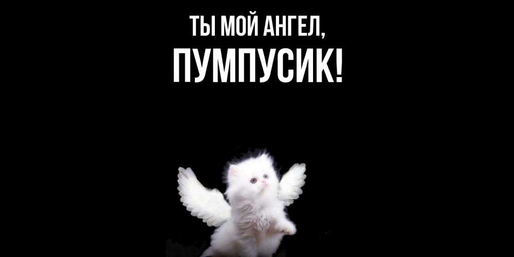 Открытка  для любимых и родных. пумпусик, Ты мой ангел  