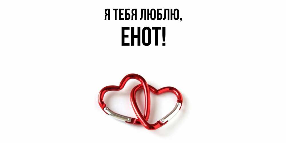 Открытка  для любимых и родных. енот, Я тебя люблю  