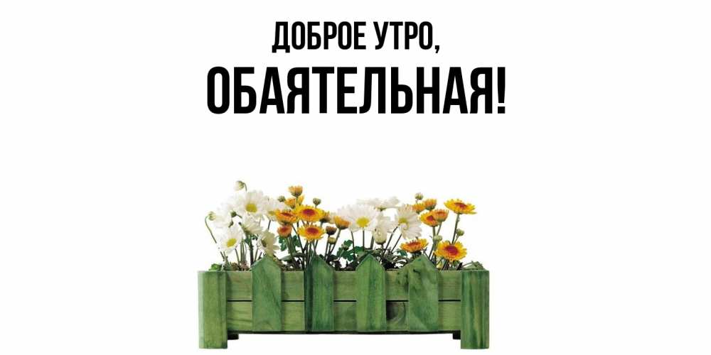 Открытка  для любимых и родных. обаятельная, Доброе утро  
