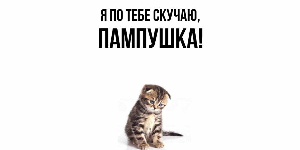Открытка  для любимых и родных. пампушка, Я по тебе скучаю  