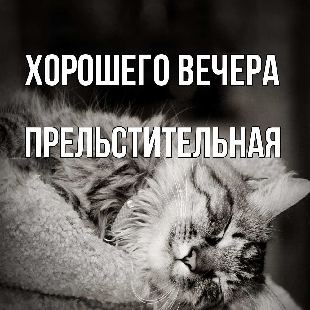 Открытка  для любимых и родных. пpельстительная, Хорошего вечера  