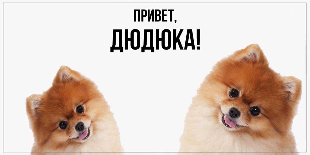 Открытка  для любимых и родных. дюдюка, Привет  