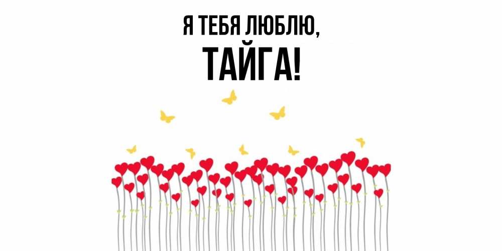 Открытка  для любимых и родных. тайга, Я тебя люблю  