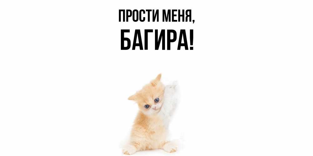 Открытка  для любимых и родных. багира, Прости меня  