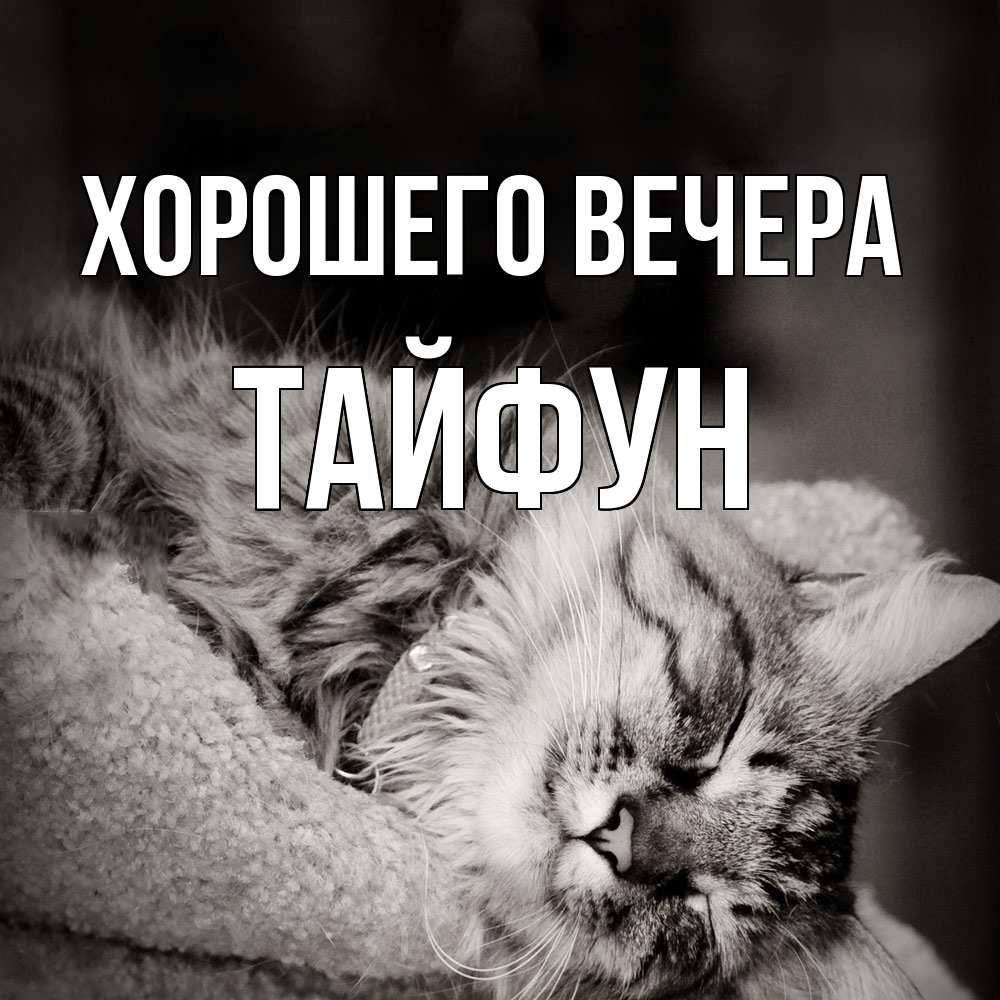 Открытка  для любимых и родных. тайфун, Хорошего вечера  