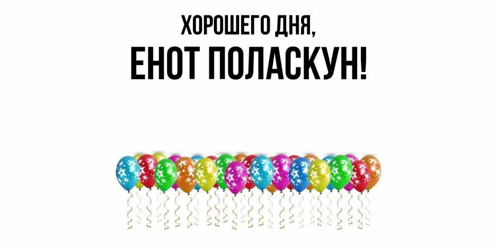 Открытка  для любимых и родных. енот, Хорошего дня  