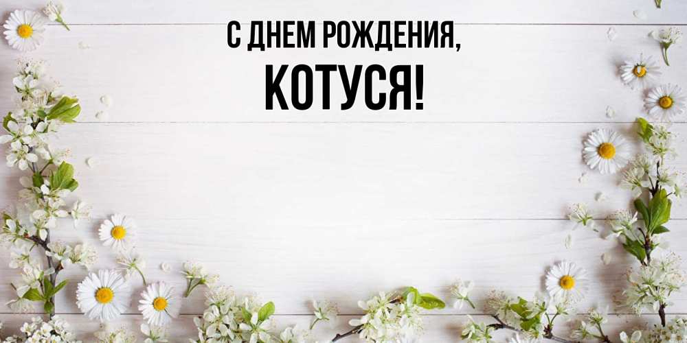 Картинка С днем рождения, Котуся