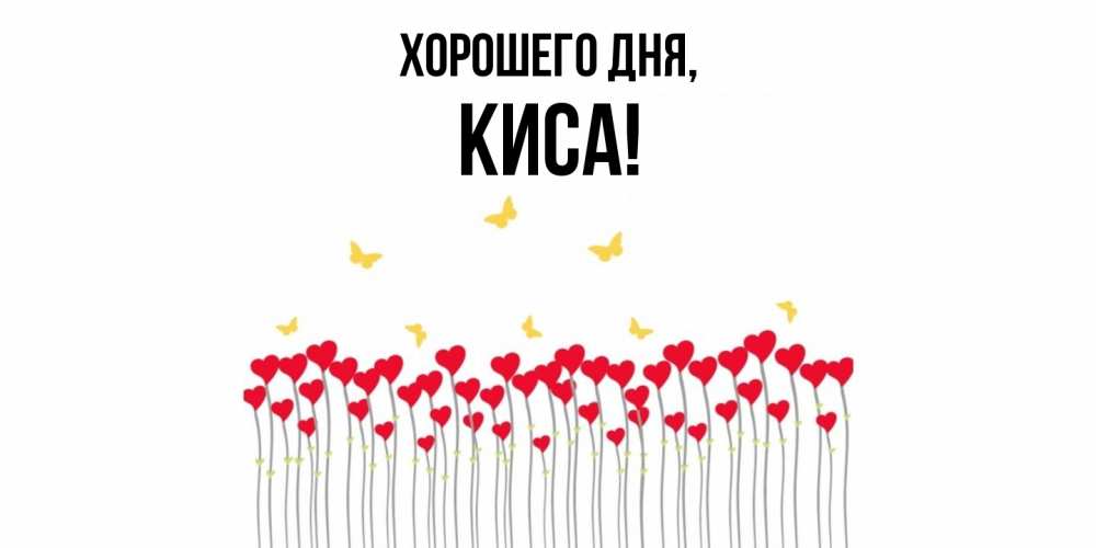 Открытка  для любимых и родных. киса, Хорошего дня  