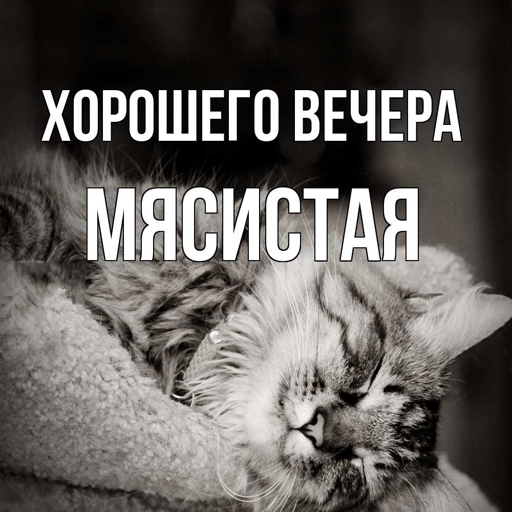 Картинка Хорошего вечера, мясистая