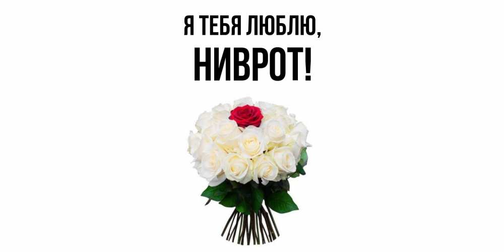 Открытка  для любимых и родных. ниврот, Я тебя люблю  