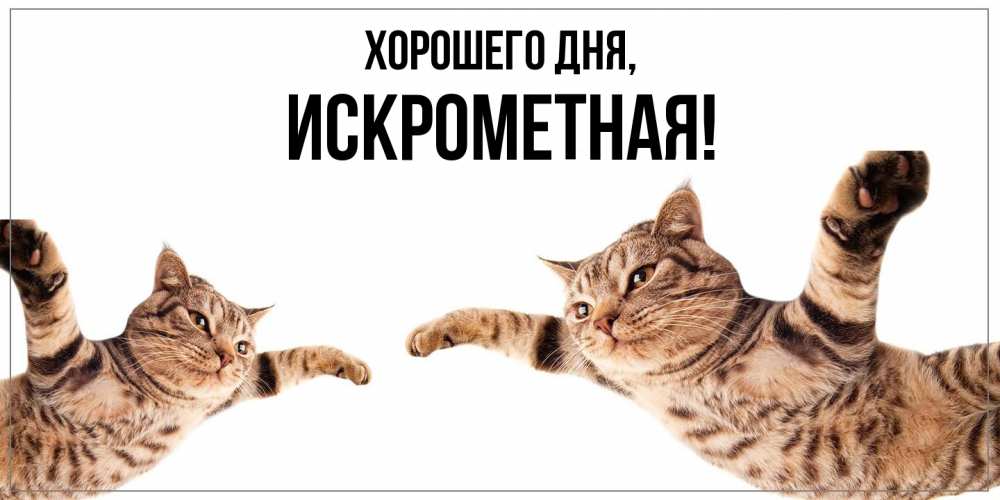 Открытка  для любимых и родных. искрометная, Хорошего дня  