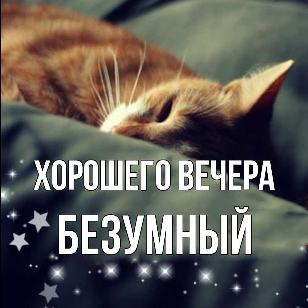 Открытка  для любимых и родных. безумный, Хорошего вечера  