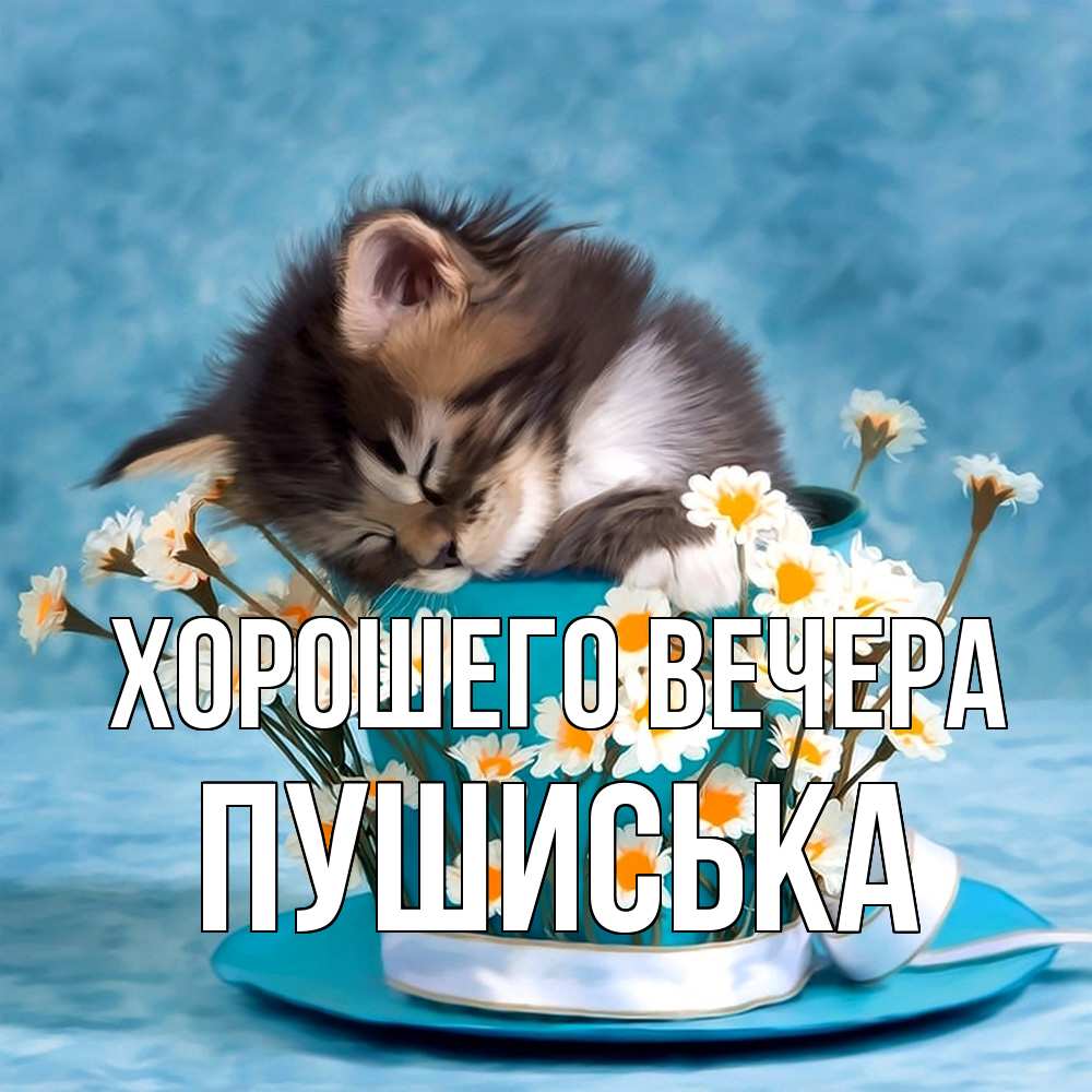 Открытка  для любимых и родных. пушиська, Хорошего вечера  