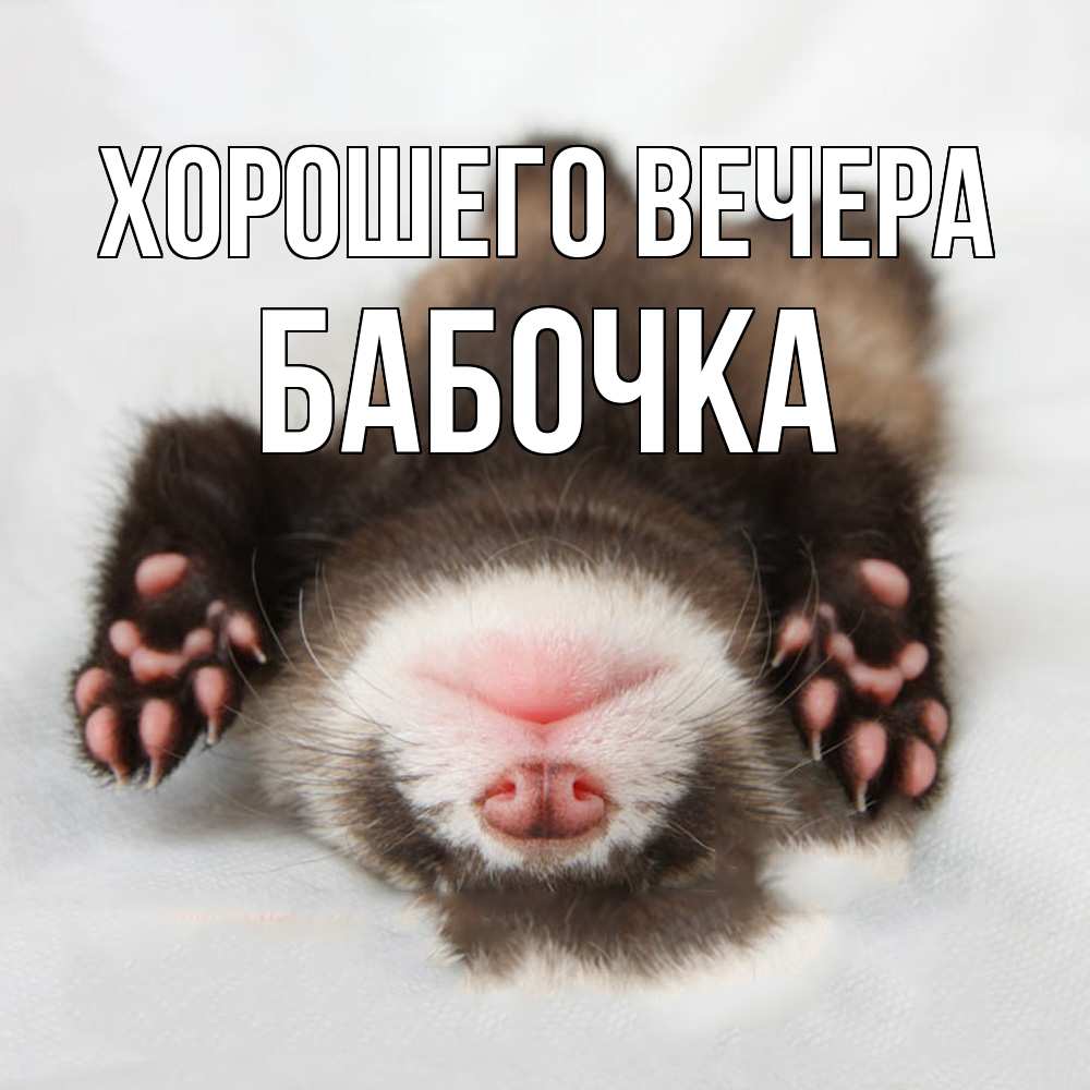 Открытка  для любимых и родных. бабочка, Хорошего вечера  