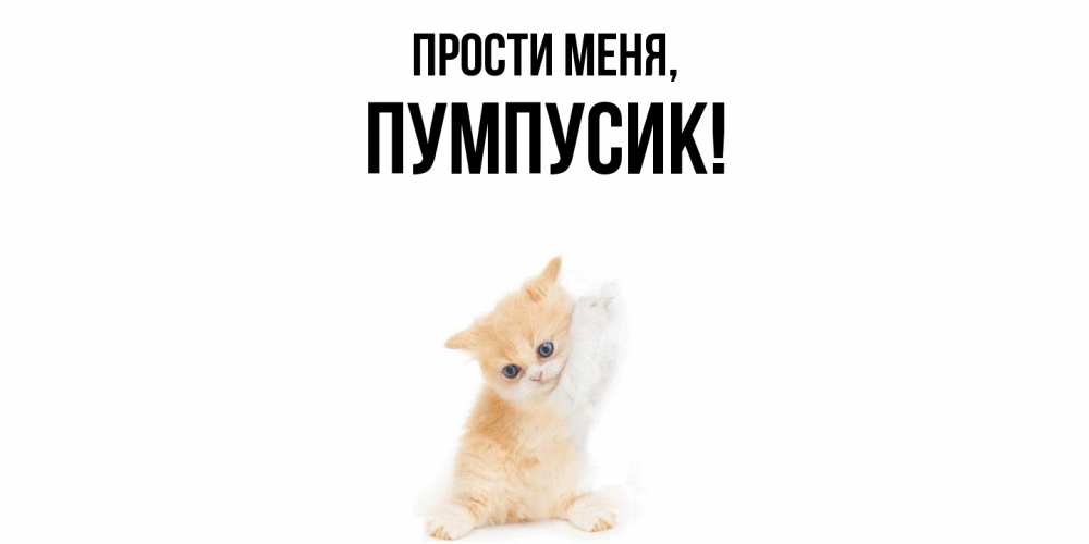 Открытка  для любимых и родных. пумпусик, Прости меня  