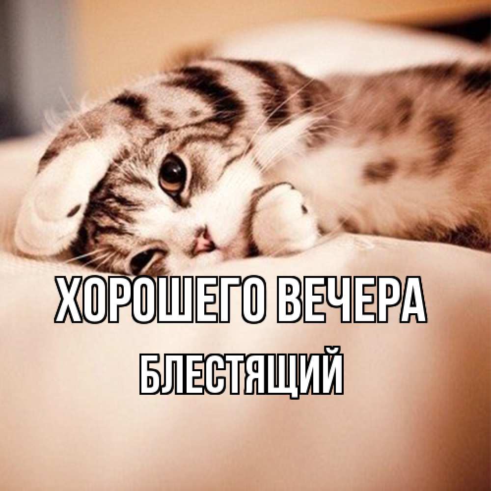 Открытка  для любимых и родных. блестящий, Хорошего вечера  