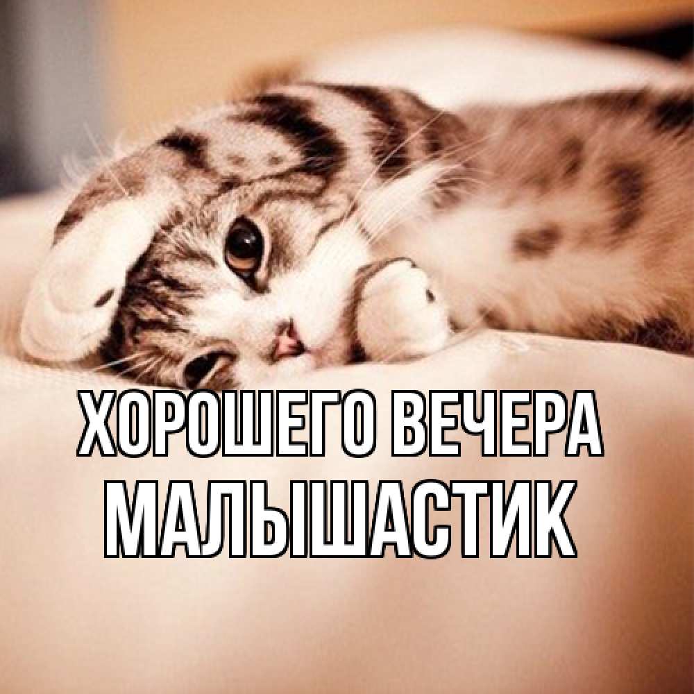 Открытка  для любимых и родных. малышастик, Хорошего вечера  